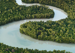 Living by the river Instructional Video