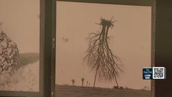 The East End: Channing Daughters Winery in Bridgehampton News Clip