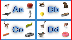 ABC Flashcards for Toddlers Instructional Video
