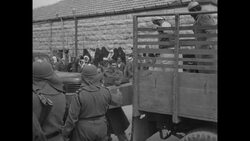 Arab prisoners released by Israeli military at end of 1948 Arab-Israeli War arrive in Jerusalem, Palestine (Israel) News Clip