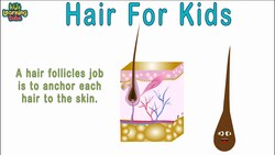 Hair Anatomy Instructional Video