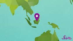 Inspect An Insect Instructional Video