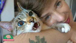 Can Humans Get High On Catnip? Instructional Video