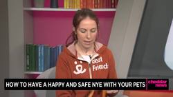 Cheddar Paws: How to Have A Safe NYE With Your Pets News Clip