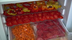 Freezing Fresh Vegetables At Home Stock Footage