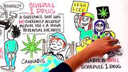 Could Psychedelics Be The Cure For Depression? Instructional Video