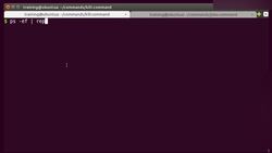 Bash Shell Scripting - Killing Processes - "kill" Command Instructional Video