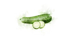 The Zucchini illustration appearance Stock Footage