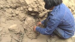 CLEAN : Peru archaeologists find thousand-year-old mummies of children News Clip