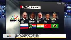 Tufts University's Papa on BRICS Summit News Clip