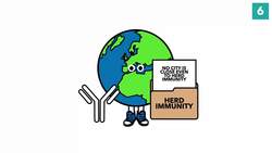 Why We're Not Achieving Coronavirus Herd Immunity & How it Impacts a 2nd Wave - TLDR News Instructional Video