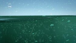 Pollution: Water Instructional Video