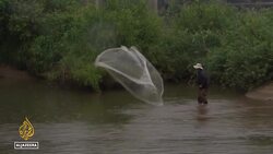 Destroyed and reformed: S Korea's Bamseom Island a home to migrating birds News Clip