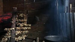 Porcini mushrooms being dried by indoor open fire Stock Footage