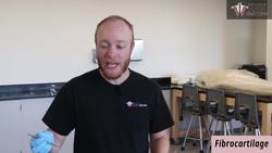 Types of Connective Tissue in the Human Body Instructional Video