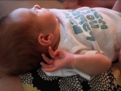 Plant Life Cycles: What Is a Life Cycle? Instructional Video