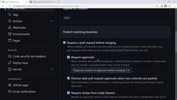 Git and GitHub Masterclass - Fast track your Journey to Git! - Exploring All Other Branch Protection Rules Instructional Video