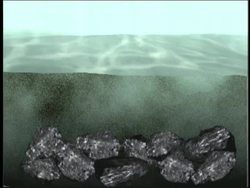 Sedimentary Rocks: Summing Up Instructional Video