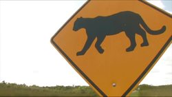 Everglades National Park - Main Park Road Instructional Video