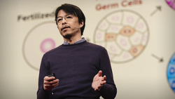 TED: A mouse with two dads — and a new frontier for biology | Katsuhiko Hayashi Instructional Video
