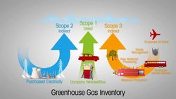 5 Steps to Getting Management Support Instructional Video