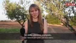 Italian Past Tense: Il Passato Prossimo Instructional Video
