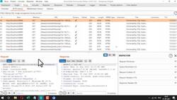 Burp Suite Unfiltered - Go from a Beginner to Advanced - Input Vulnerability Check Lab (Intruder Ideas) Instructional Video