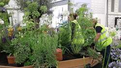 Preparations under way for the RHS Chelsea Flower Show News Clip