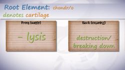 HST-MT - Medical Terminology of the Skeletal System Instructional Video