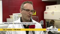 Tool crunches weather data to help grain producers take steps to avoid a costly disease News Clip