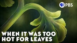 When It Was Too Hot for Leaves Instructional Video