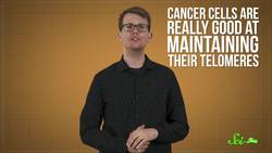 We're One Step Closer to Understanding Aging Instructional Video