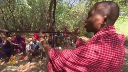 Kenya pastoral communities reject carbon deal, say land rights and grazing access at risk News Clip