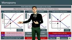 Monopsony Labor Markets: Effects and Interventions Instructional Video