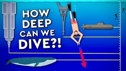 What Is The Deepest A Human Can Dive? Instructional Video