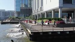 RUNNING RACE - DRONE SHOT - RUNNERS ALONG HUDSON RIVER WATERFRONT Stock Footage