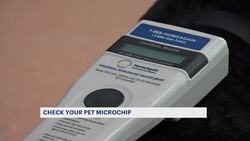 'There is a solution.' Animal shelters warn pet owners of abrupt closure of popular microchip company Instructional Video