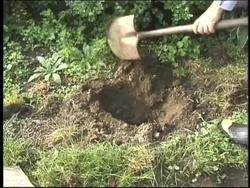 Simple Machines: Machines Instructional Video