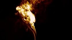 Wood Flames Burning Fireplace Stock Footage