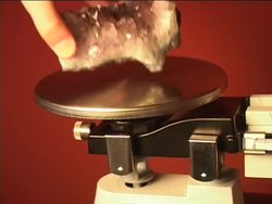 Measuring Mass and Volume: Using a Balance Instructional Video