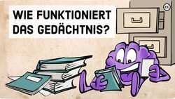 Das Multi-Store Modell: Wie Erinnerungen entstehen Instructional Video