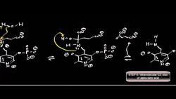 Transaminase Mechanism (Pyruvate Conversion to L-Alanine) Instructional Video