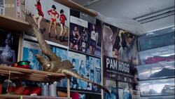 Designer Pam Hogg on her creative roots Instructional Video