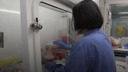 Coronavirus in numbers: UK death count remains paused News Clip