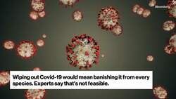 Vaccines May Never Eliminate Covid-19 News Clip