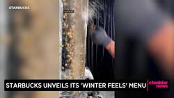 Starbucks Unveils “Winter Feels” Menu News Clip