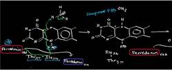 FerredoxinNADP+ Oxidoreductase (Photosynthesis Part 6) Instructional Video