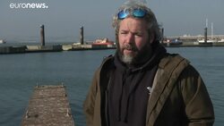 Seal Spotter smartphone app to track Grey seals around Britain’s coast News Clip