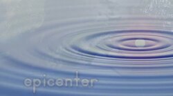 Shake Things Up Instructional Video