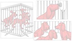 Learned Helplessness: The Impact on Children and How to Help Them Instructional Video